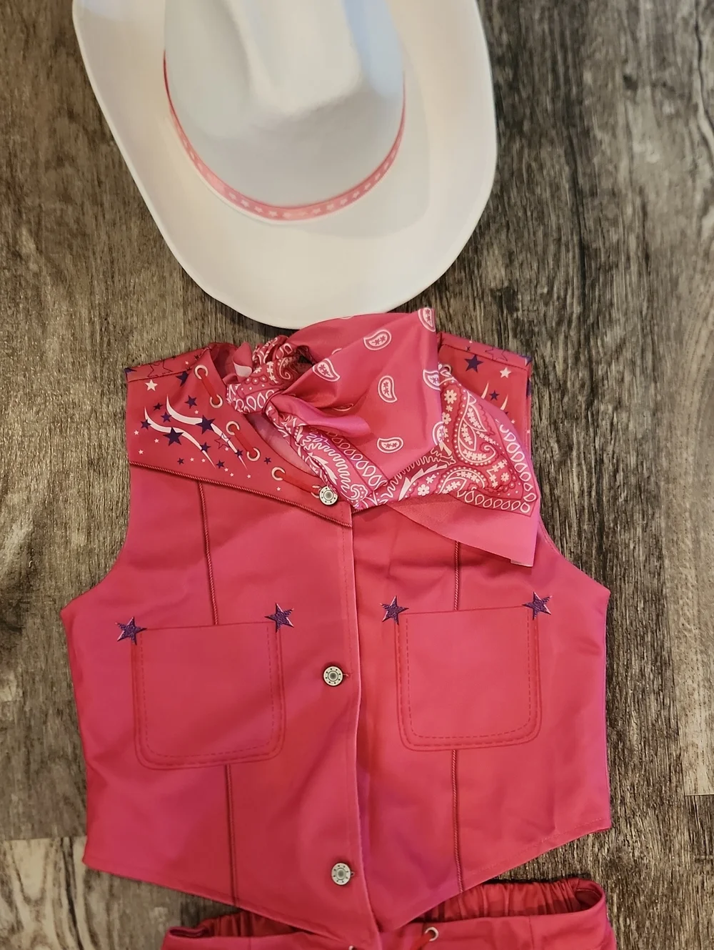 Barbie Cowgirl Costume